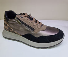 Load image into Gallery viewer, Igi &amp; Co Ladies Metallic and Black Smart Trainer - Lace and Zip Fastening - 6672566
