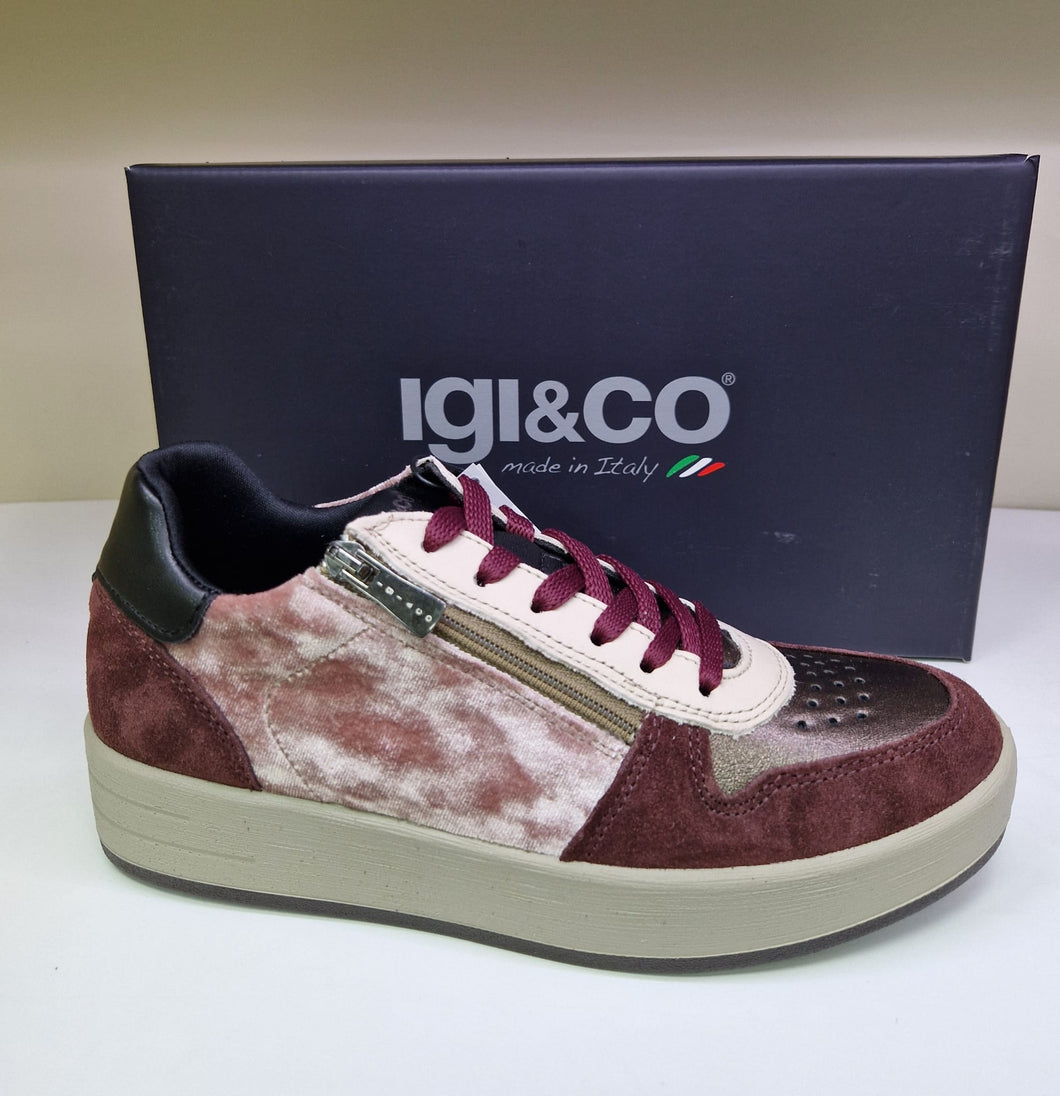 Igi & Co Ladies Smart Casual Laced Shoe - Rose Bordo Combination - 8668511